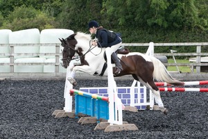 Class 5 - Fences not above 2'6